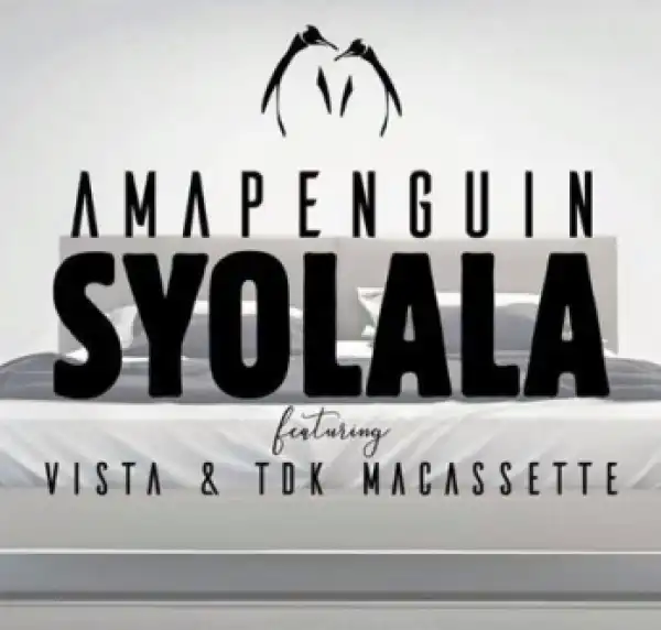 AmaPenguin - S’yolala Ft. Vista x TDK MaCassette